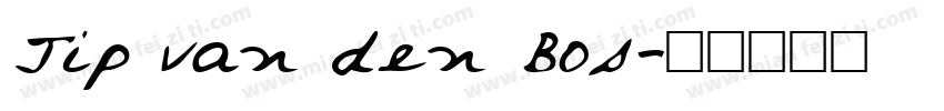 Jip van den Bos字体转换